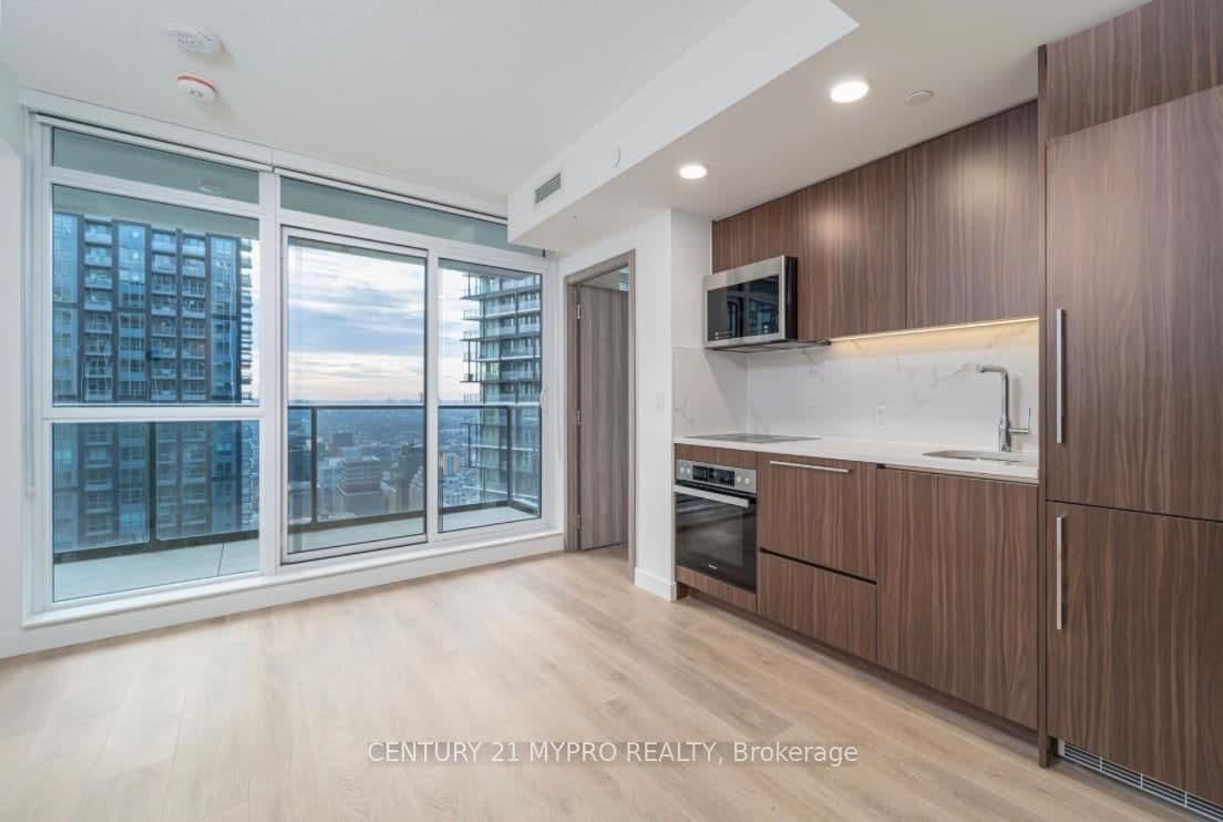 38 widmer Street, Unit 3809