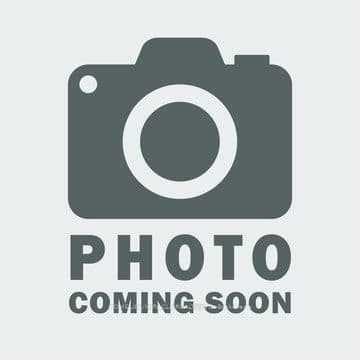 #613 - 556 Marlee Avenue