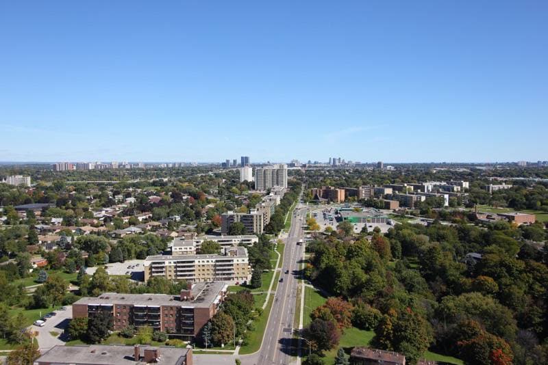 The Ravine - Image 15