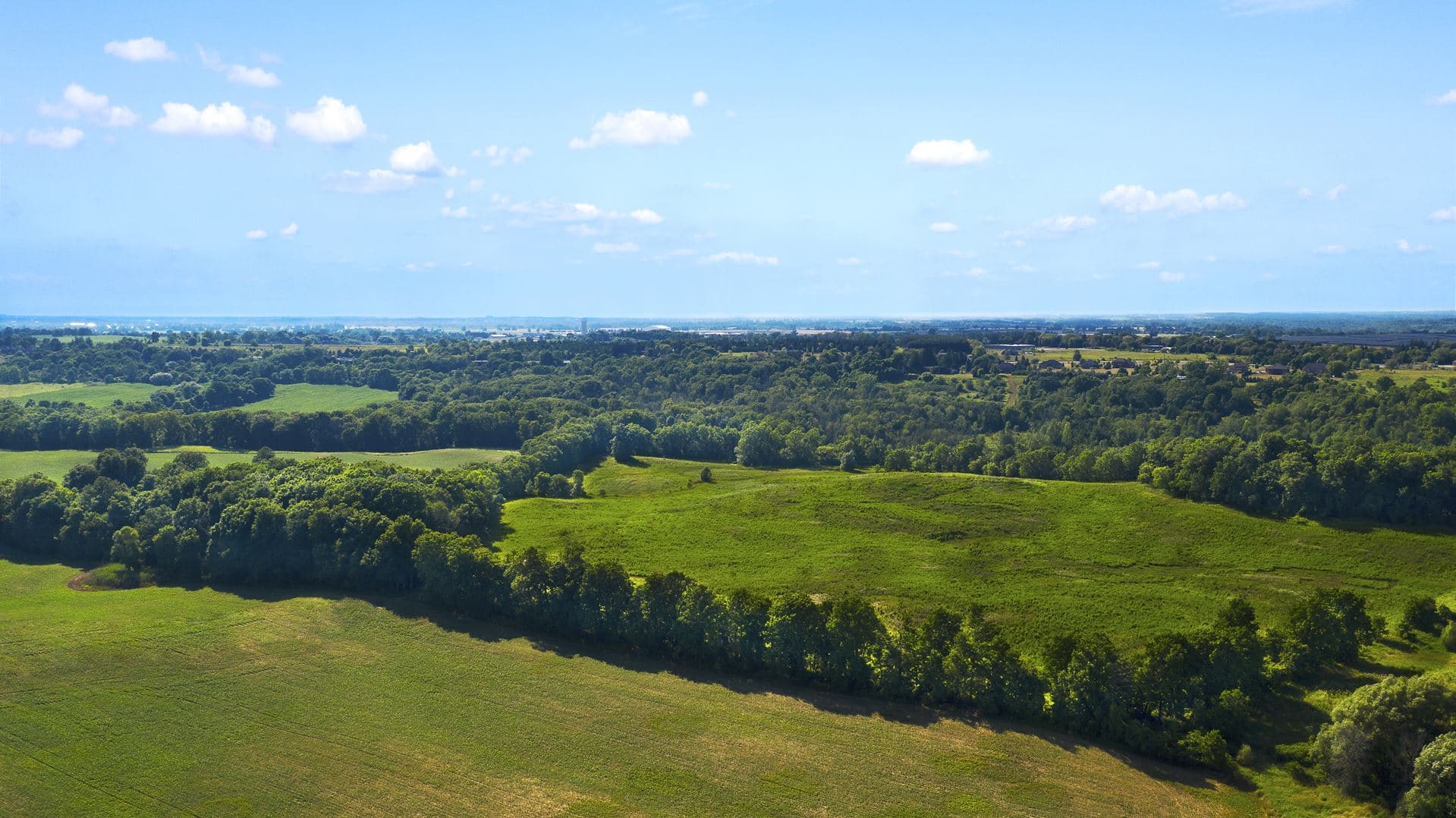 The Ambrose Condos - Image 3