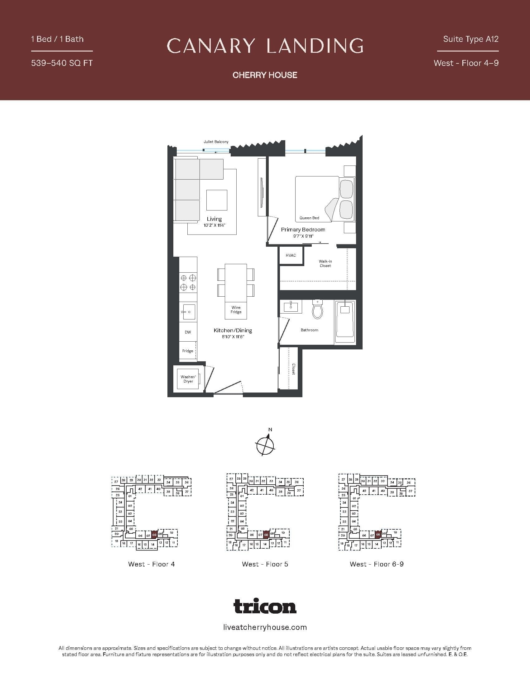 Type A12 Floor Plan at Cherry House at Canary Landing - 539 sq.ft